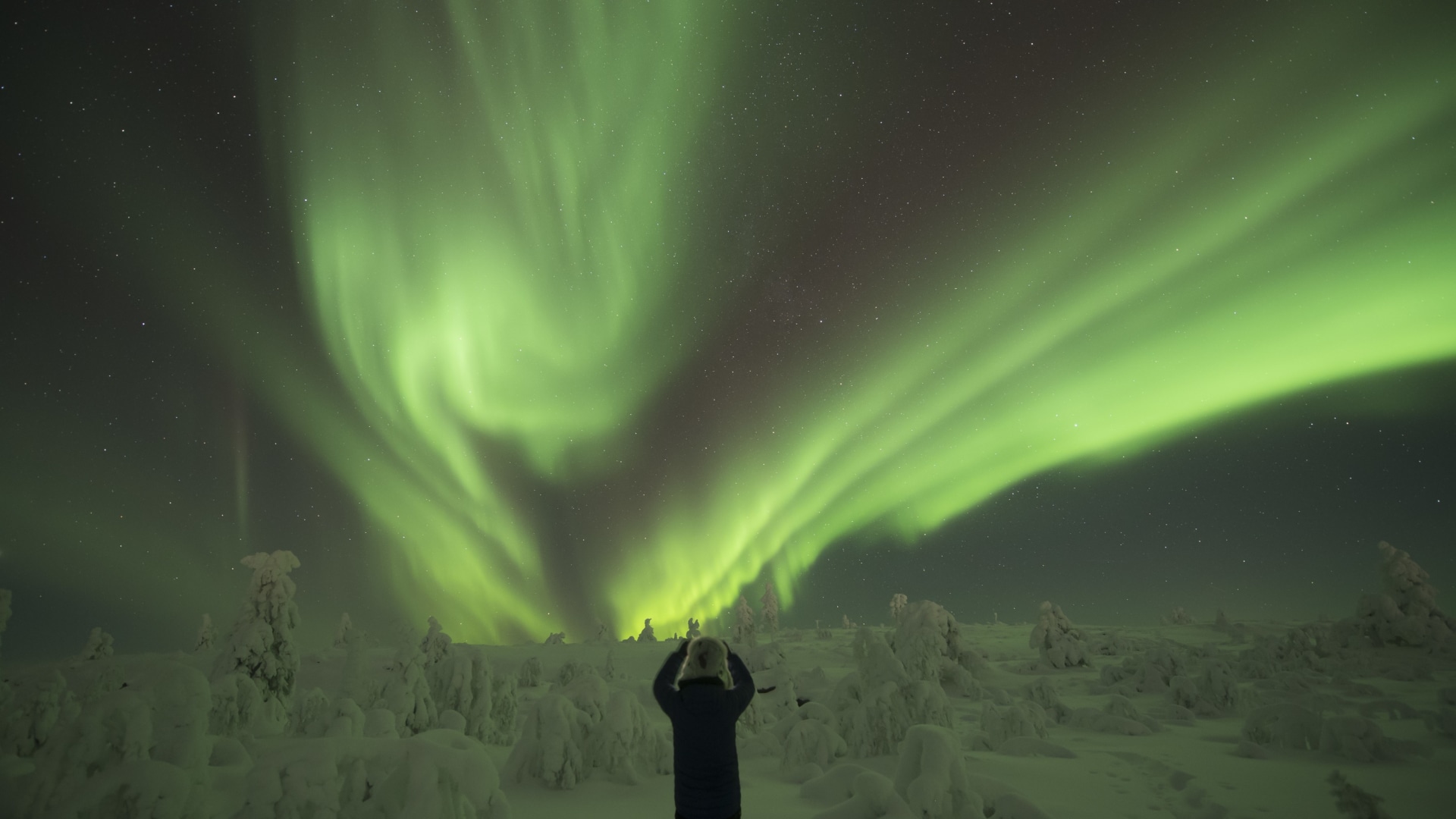 Schneeschuhwanderung unter Polarlicht